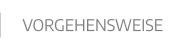VORGEHENSWEISE