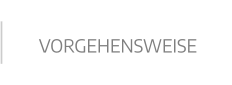VORGEHENSWEISE